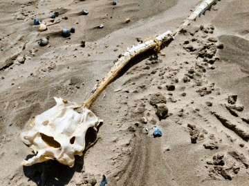 &copy;  Timon de Boer